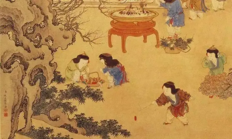 种蓝梅用什么土好_篮梅在家如何种_蓝梅可以种家里吗