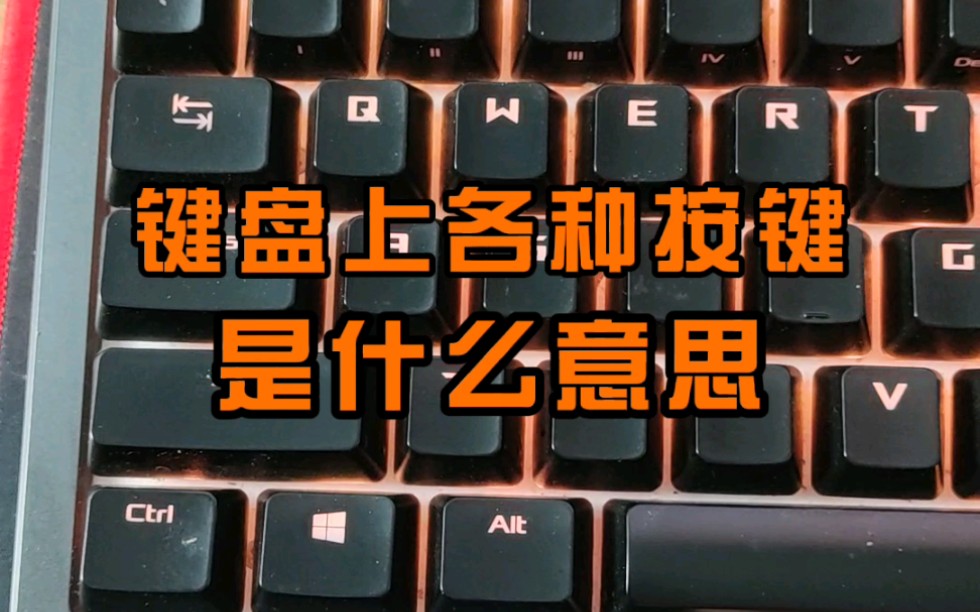雷柏 rapoo v600_雷柏v600连接安卓手机_rapoo雷柏h6020