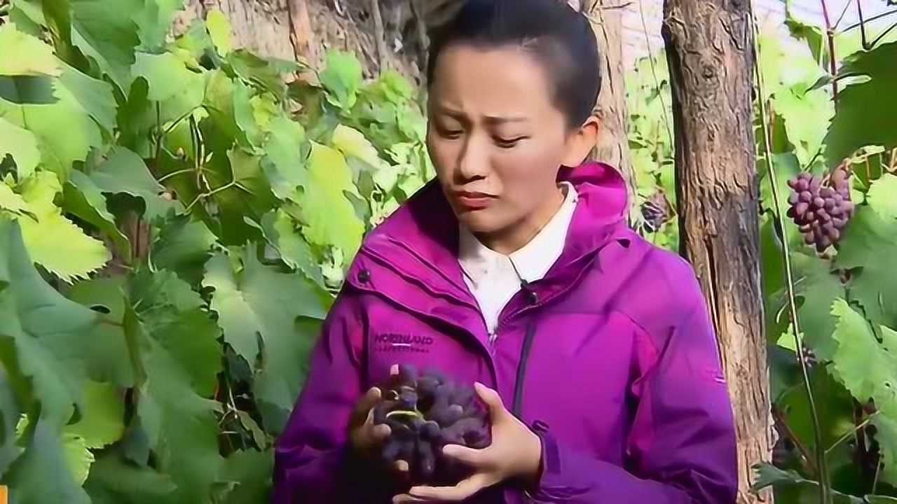 蛊真人语录_蛊z真人诗词_蛊z真人句子迷