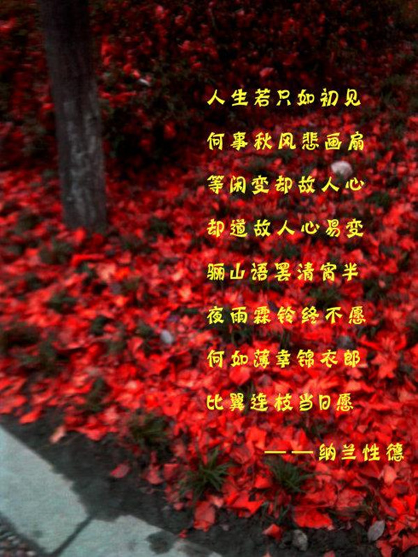 君成录剧情按年份_君成录剧情按年份_君成录剧情按年份
