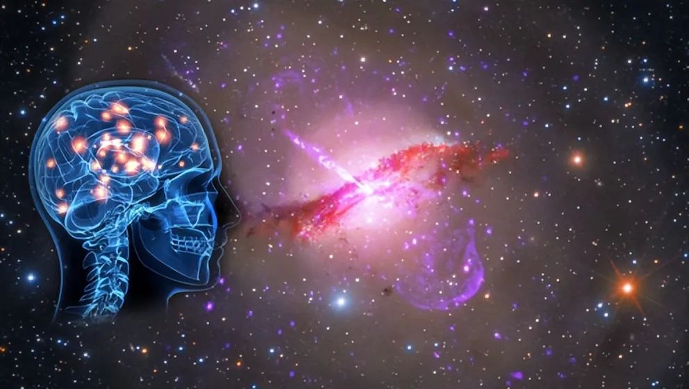 猜测一下外星人长什么样_关于外星人的猜想理论_外星人猜想