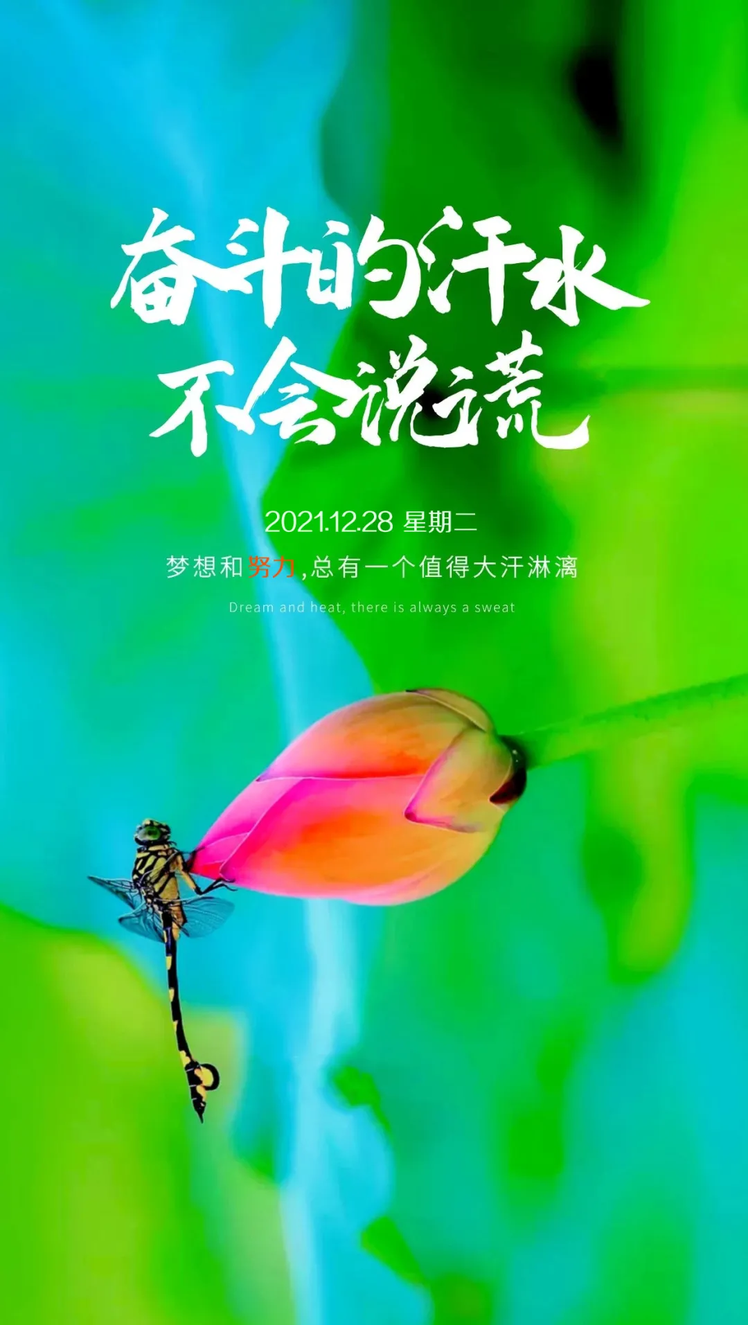 早起洗个澡_早上起来洗澡好不好_早晨起来后洗澡
